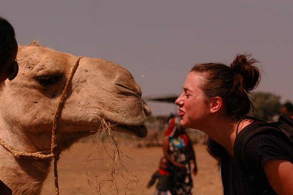 Kissing a camel - Paul